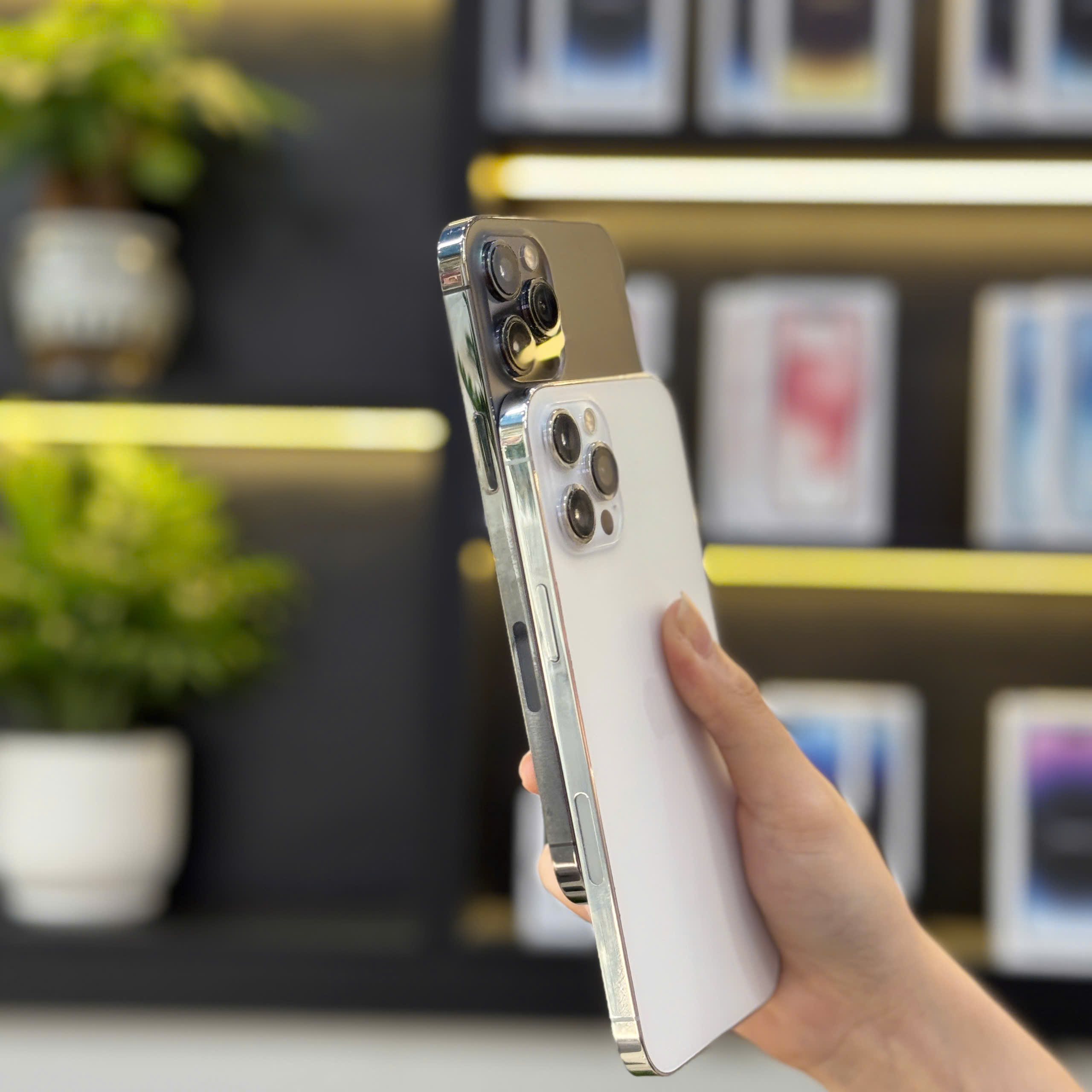 Cầm trên tay iPhone 12 Pro và Pro Max tại Táo 247 Đà Nẵng – máy đẹp, zin 100%, bảo hành trọn đời.