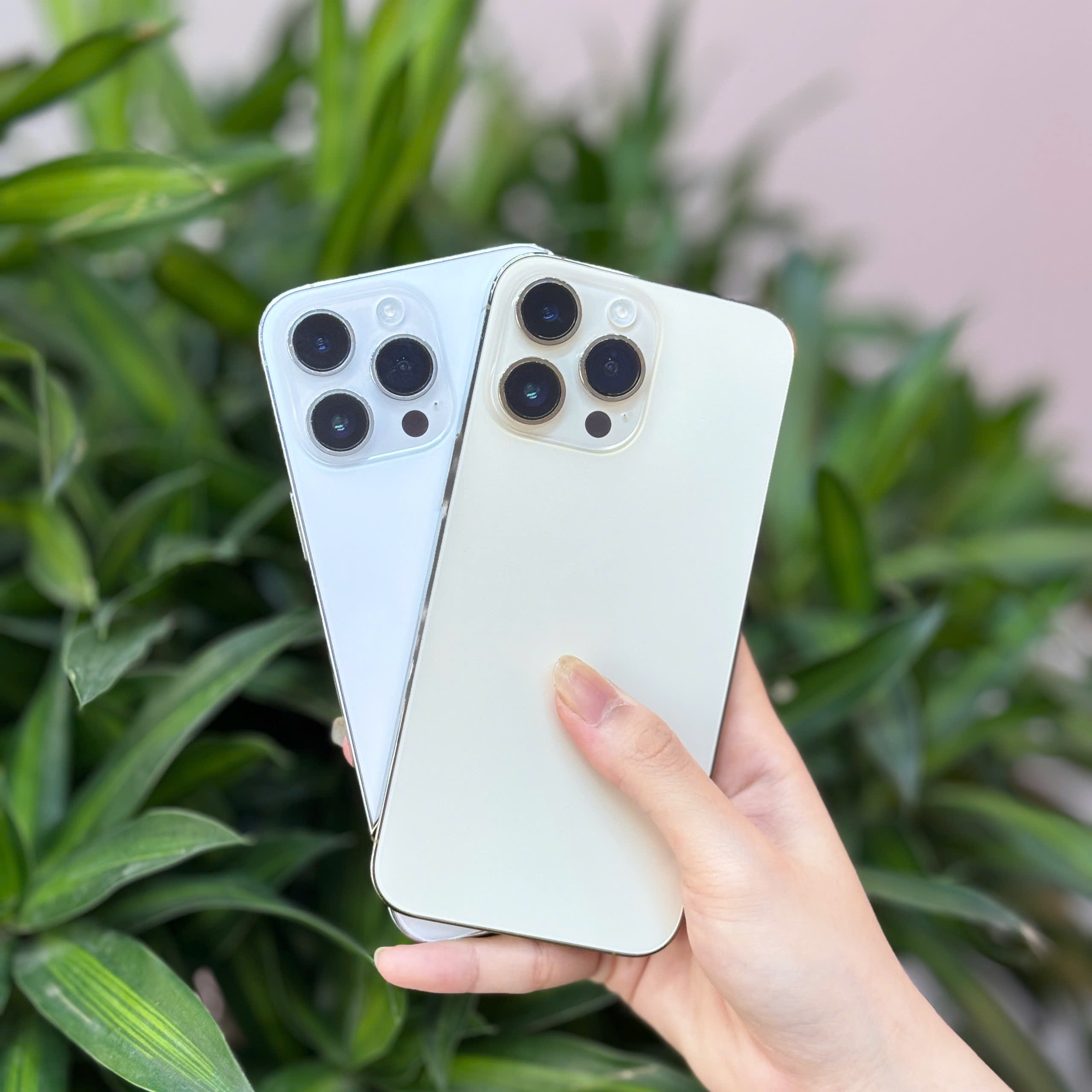 Mua iPhone góp trả trước 0 đồng tại Đà Nẵng – Hình ảnh iPhone chính hãng tại Táo 247