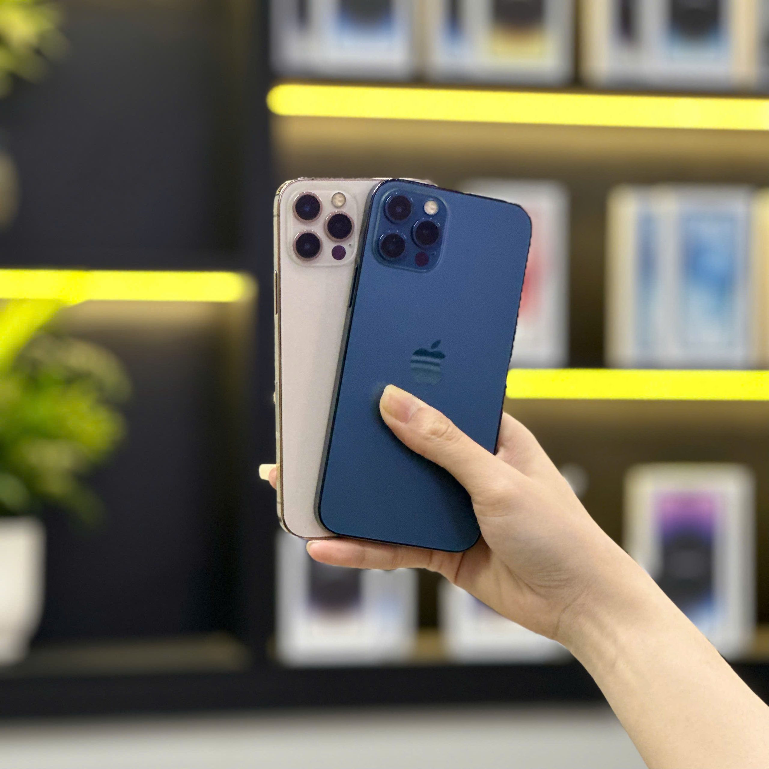 iPhone 12 Pro cũ Đà Nẵng màu xanh navy và vàng tại Táo 247