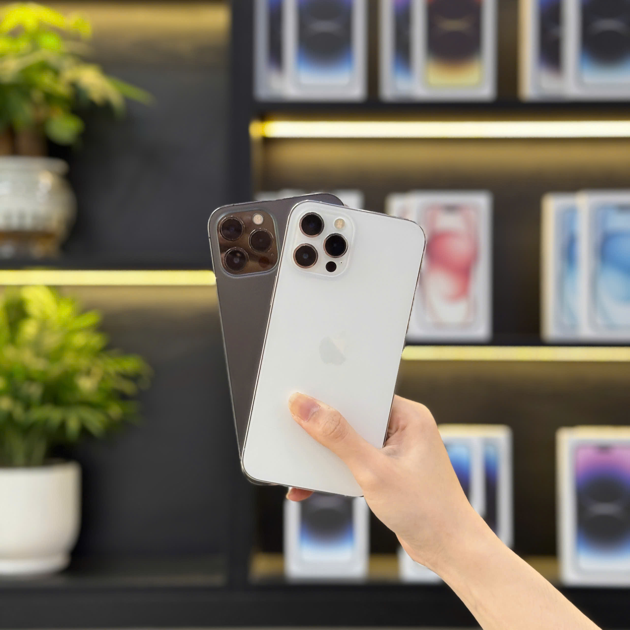 iPhone 12 Pro Max cũ đẹp như mới tại Táo 247 Đà Nẵng – máy zin, bảo hành dài hạn