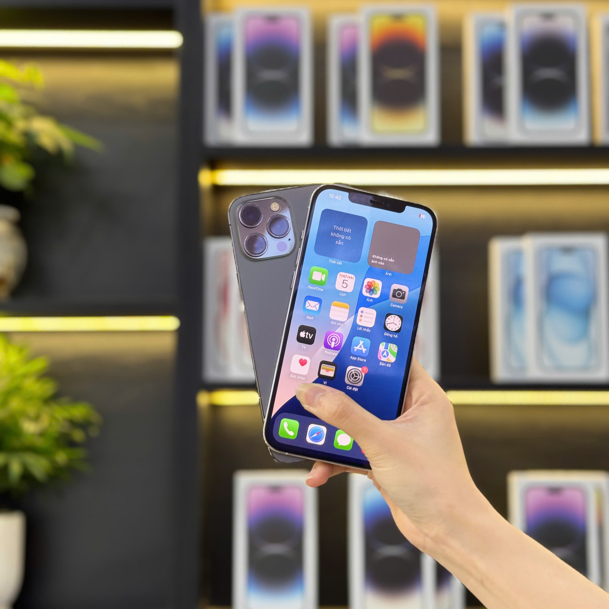 Khách hàng đang cầm iPhone 12 Pro Max cũ tại Táo 247 Đà Nẵng – máy đẹp, zin 100%, giá tốt