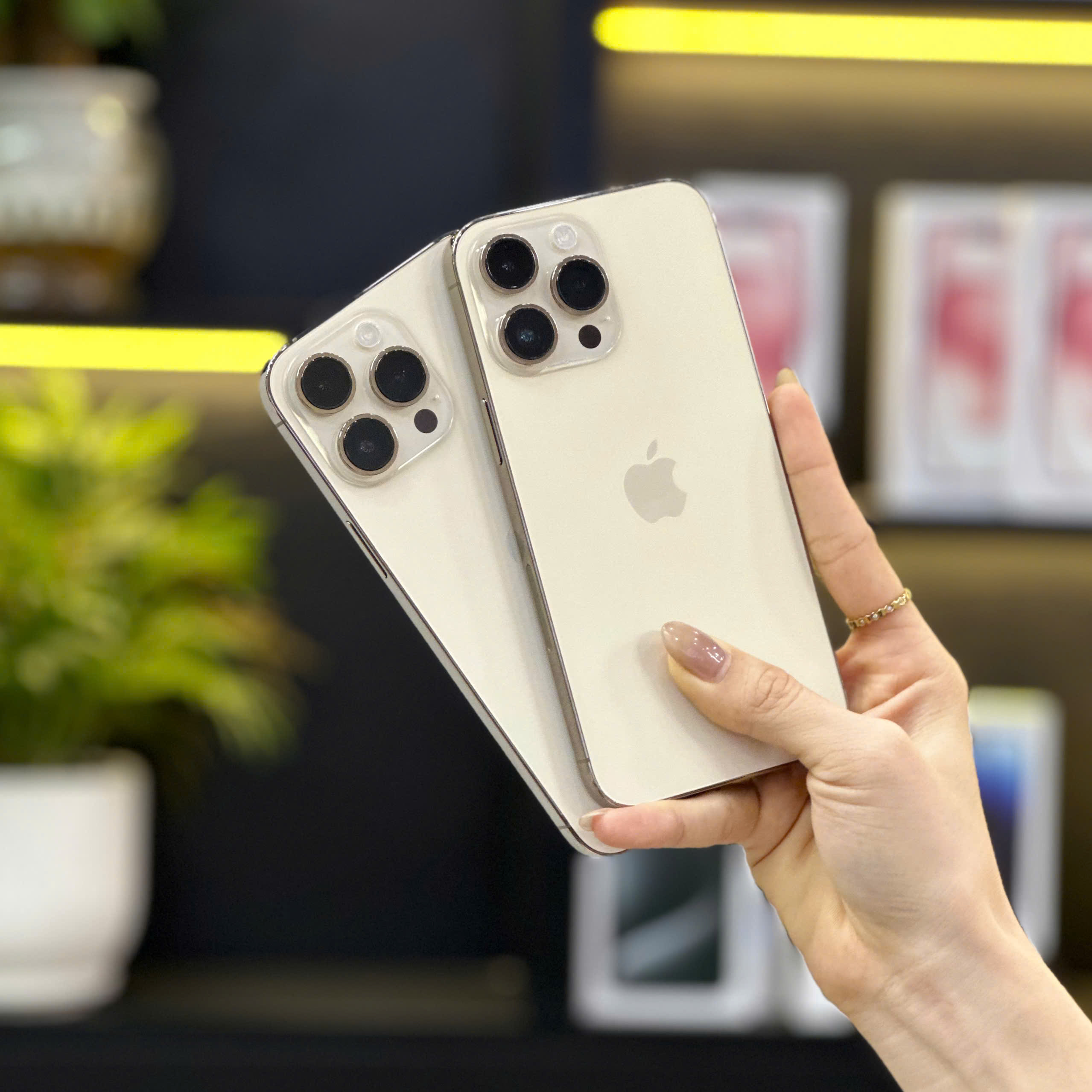 So sánh iPhone thường và iPhone Pro Max – Màn hình, camera, hiệu năng tại Đà Nẵng