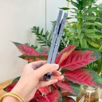 iPhone 13 Pro Max cũ zin viền sáng bóng tại Táo 247 HCM