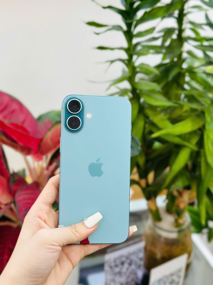 iPhone 16 Plus cũ Hồ Chí Minh giá rẻ, máy zin 99% tại Táo 247 Gò Vấp