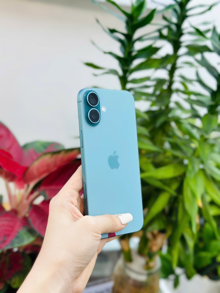 iPhone 16 Plus cũ màu xanh Hồ Chí Minh – máy đẹp 99% tại Táo 247 Gò Vấp
