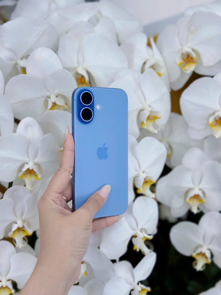 iPhone 17 thường HCM – Thiết kế sang trọng, màu xanh mới tại Táo 247 Hồ Chí Minh