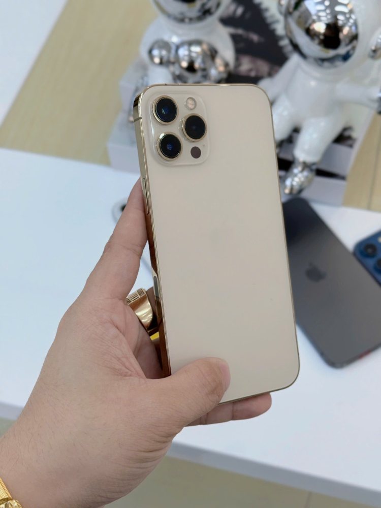 iphone 12 pro max gold tại Táo 247, cầm tay thực tế, máy cũ like new 99%, màu vàng gold sang trọng