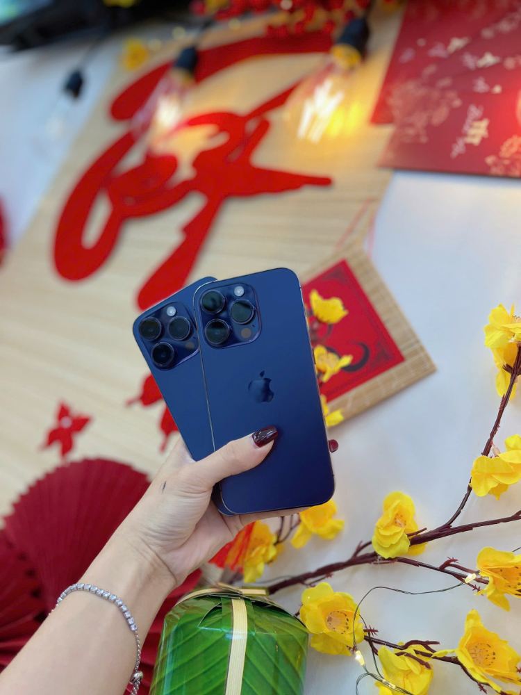 iPhone 14 Pro màu xanh dương chụp ảnh Tết với hoa mai vàng, phong cách sang trọng