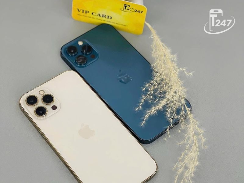 iPhone 12 Pro Max 256GB Táo 247