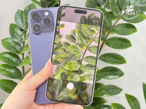 iPhone 14 Pro Max 256GB Giá Bao Nhiêu