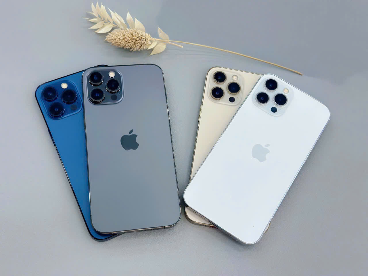 iPhone 12 Pro Max