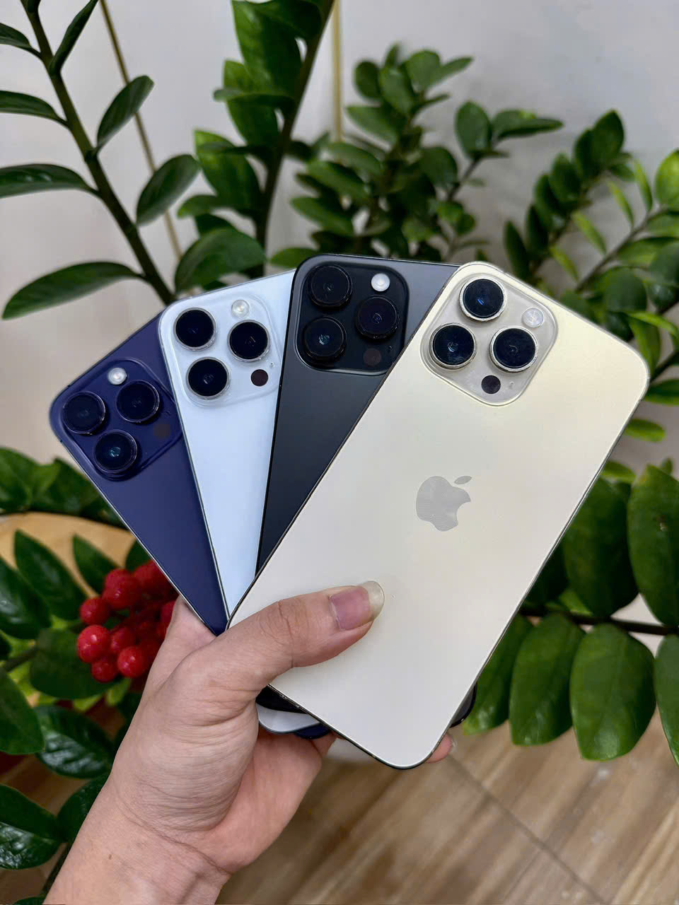 iPhone 14 Pro Max