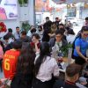 Nhân viên Táo 247 test iPhone 15 bước cho khách tại Đà Nẵng