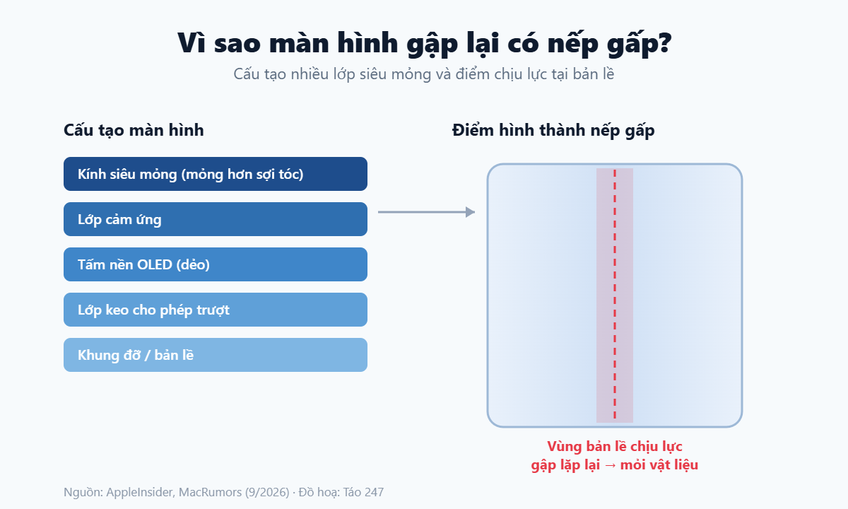 Sơ đồ cấu tạo màn hình gập và điểm hình thành nếp gấp iPhone Duo