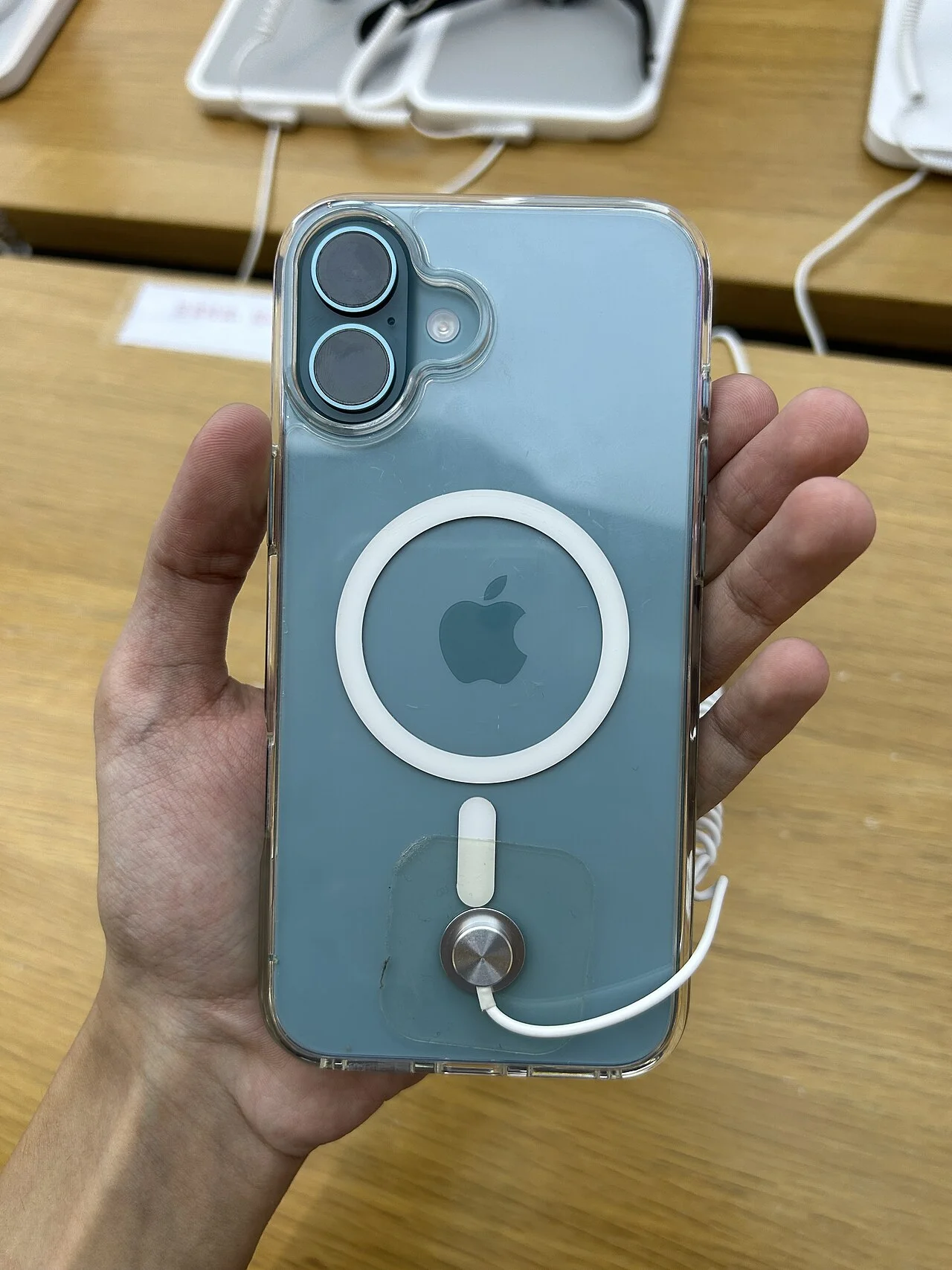 iPhone 16 Plus màu Xanh Mòng Két nhìn từ mặt lưng